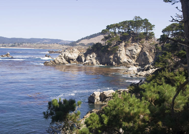 Point Lobos State Natural Reserve